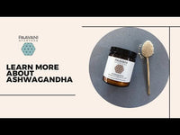 Ashwagandha | Ayurvedic Adaptogen for Stress Support & Vitality