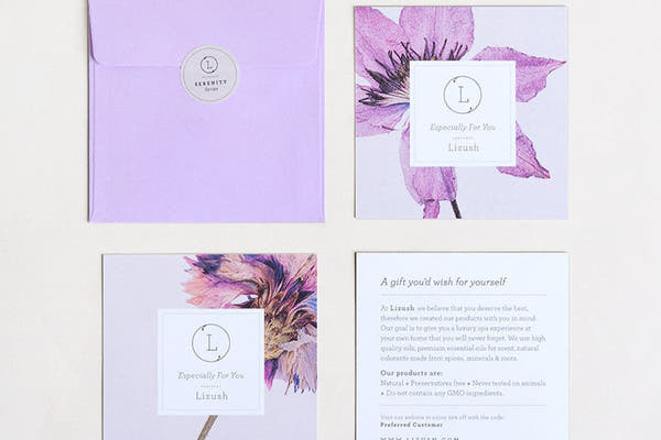 Bath Bomb and Shower Steamer Lizush All Natural Lavender Gift Box with - bath & body products