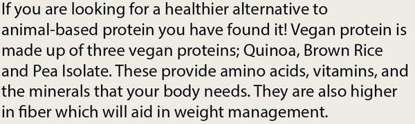 Pure Plant Protein Vanilla